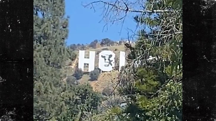 Hollywood Sign Vandalized with Cow, Suspects Arrested