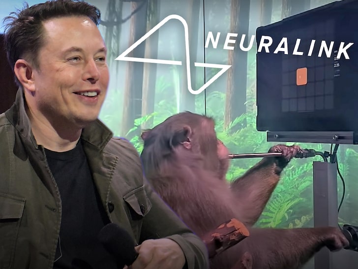 Elon Musk's A.I. Company Shows Monkey Playing 'Pong' with His Mind