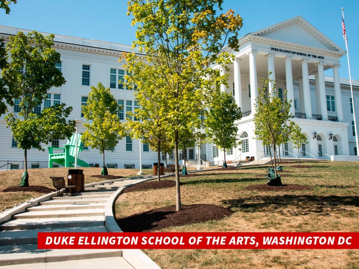 DUKE ELINGTON SCHOOL