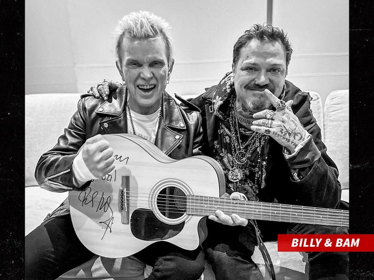 billy idol and bam margera