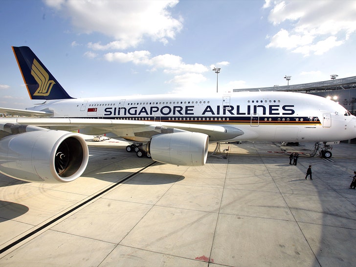 singapore airlines plane