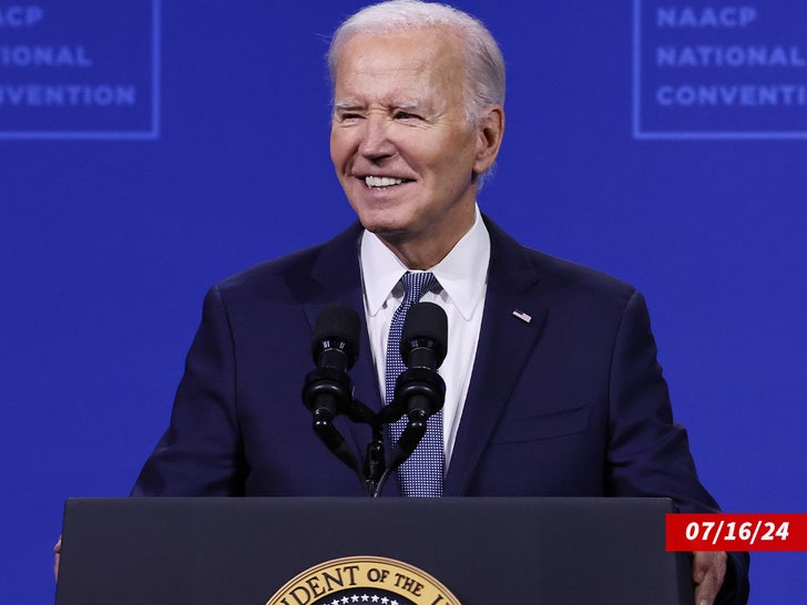 joe biden sub getty