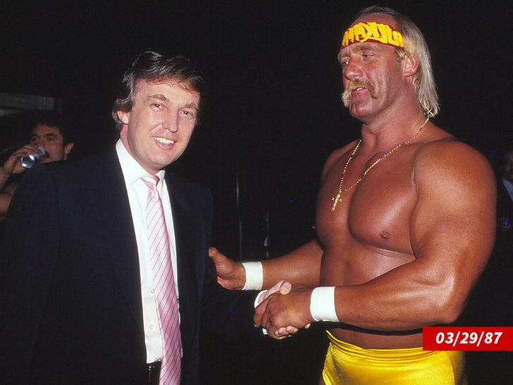 donald trump hulk hogan sub