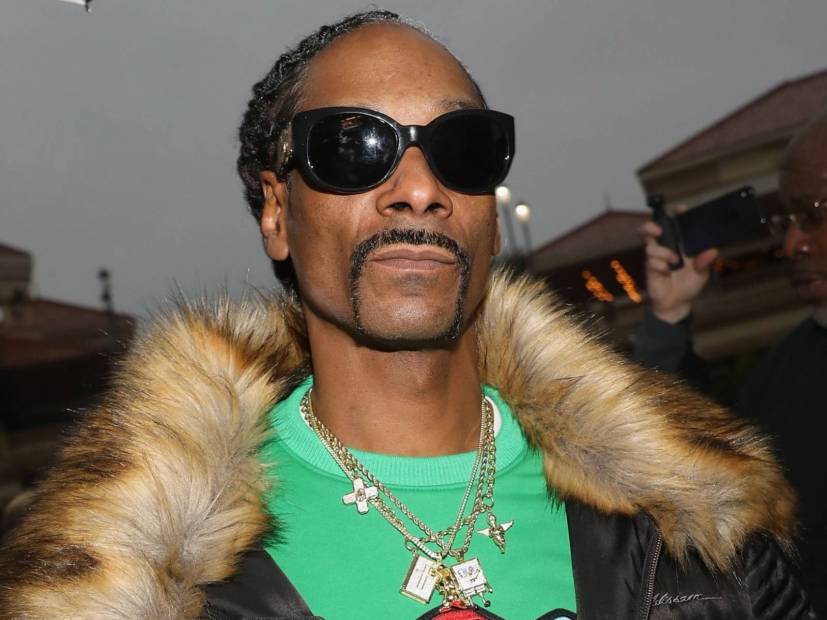 Snoop Dogg Chastises Retired Weed-Smoking David Irving