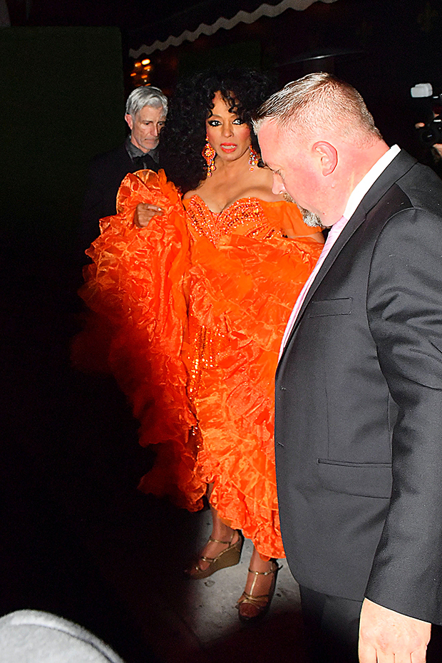 Diana Ross Outfits Birthday Party